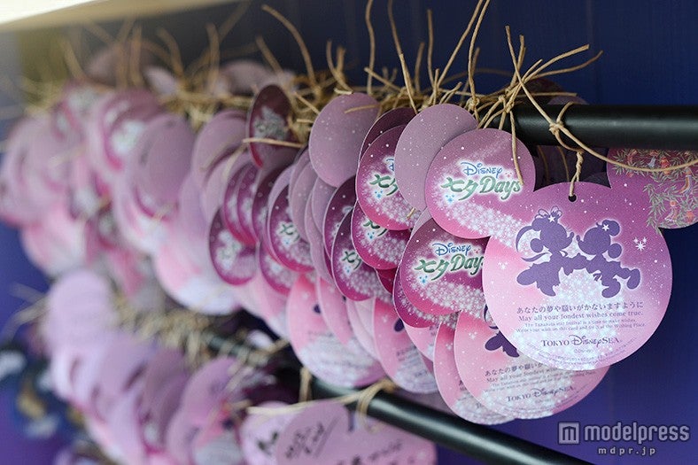 願い事の書かれたウィッシングカードが結び付けられる