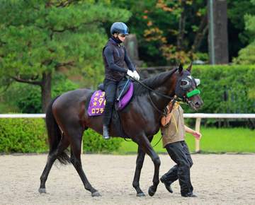 【神戸新聞杯】ロブチェン 史上9頭目の3冠へ 21世紀3冠馬が全てVの王道路線 松山も高評価「こんな馬は初めて」