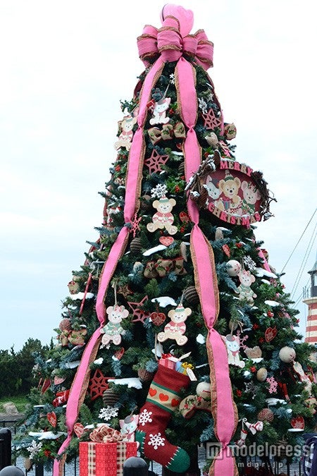 ケープコッドに新登場したツリー（昼）