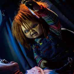 カルト・オブ・チャッキー ~チャッキーの狂気病棟~ (C)2017 Universal Studios. All rights reserved.