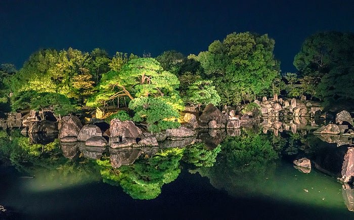 特別名勝 二の丸庭園 ライトアップ ／画像提供：ネイキッド