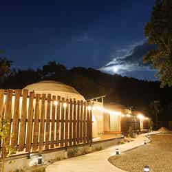 Morethann Paradise/提供画像