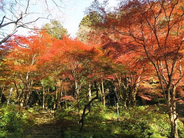 室生寺