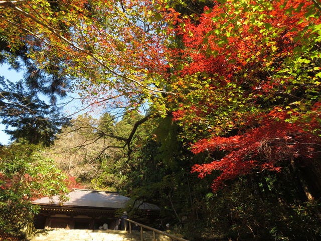 室生寺