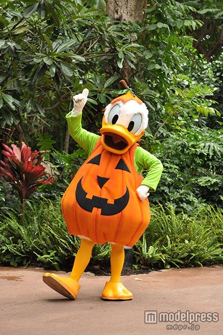 ジャック・オー・ランタンのドナルド(C)Disney