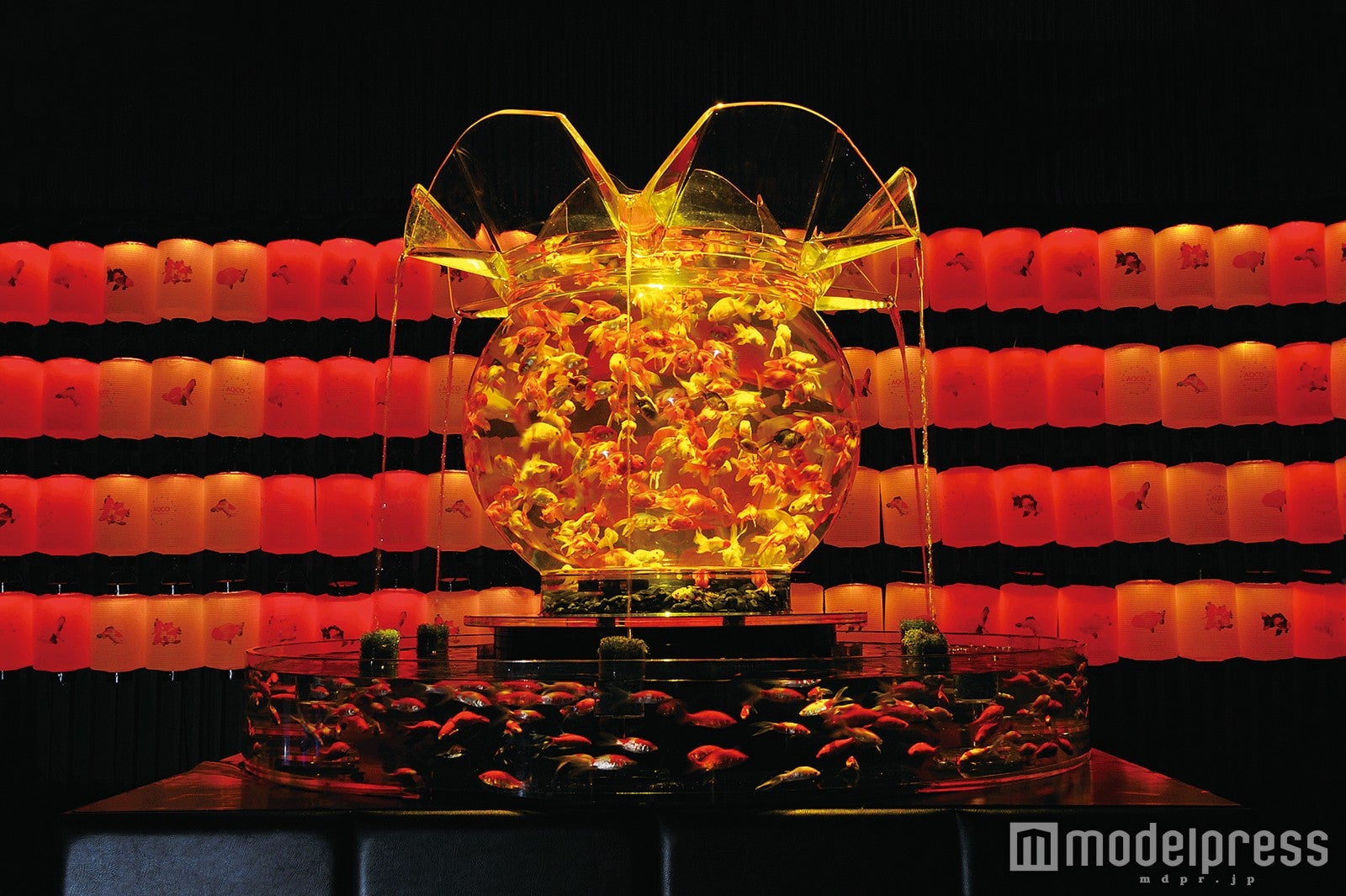 過去の展示アート／画像提供：アートアクアリウムPR事務局