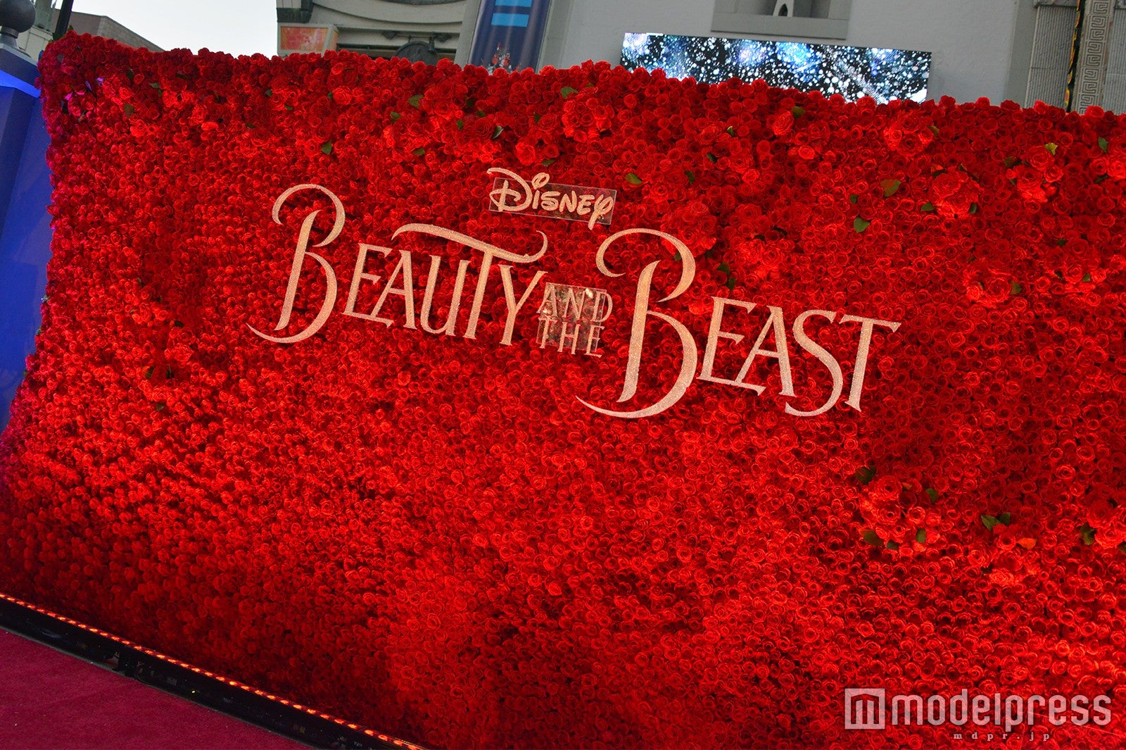 会場の様子（C）モデルプレス