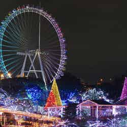 イルミネーションイメージ/画像提供:よみうりランド