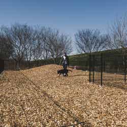 トバイヌマGRAND FIELD/提供画像