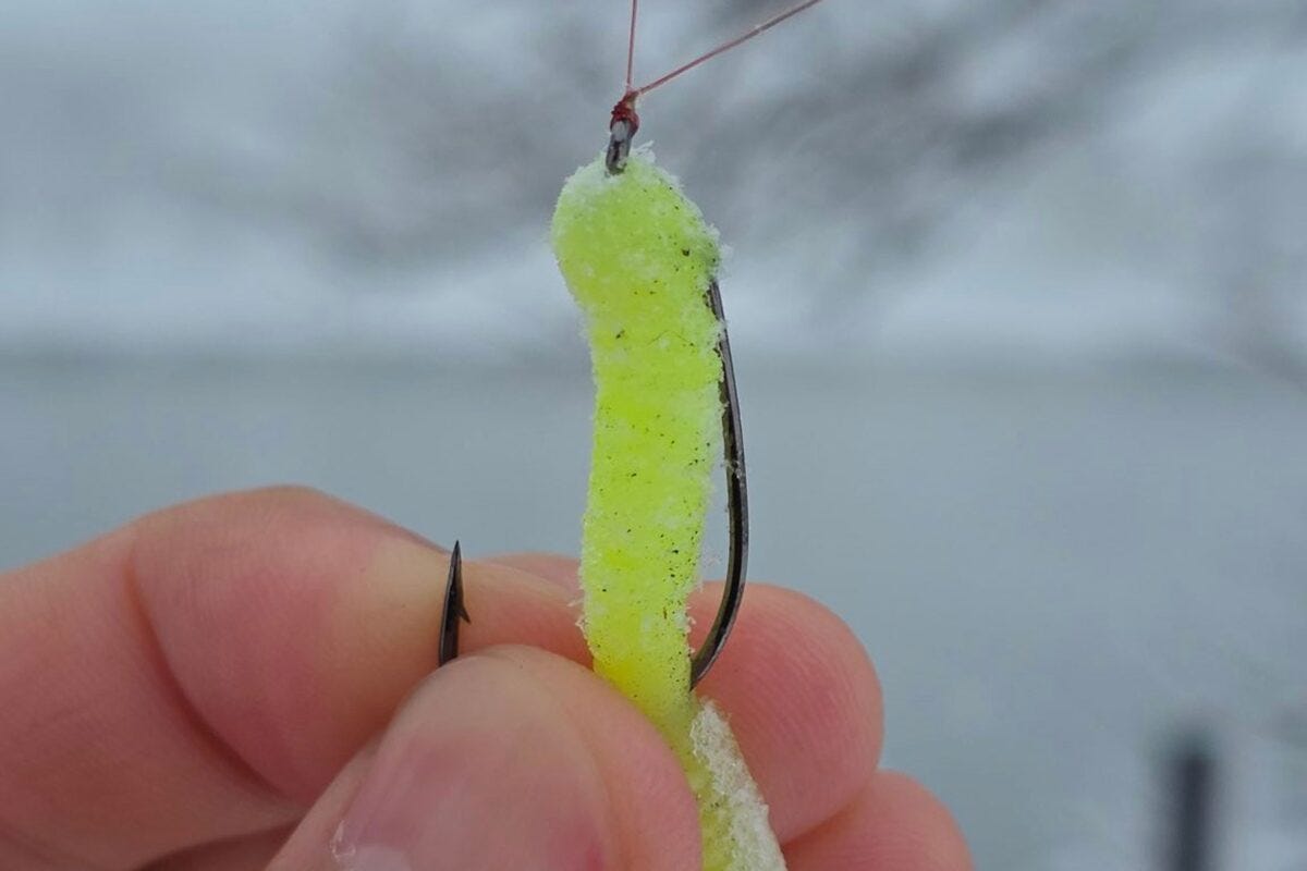 枝に垂れた釣り針