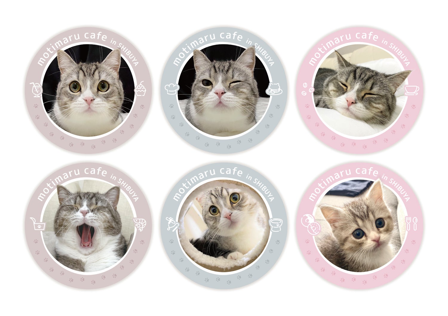 【メニュー注文特典】　もちまるカフェ コースター（全6種）／提供画像