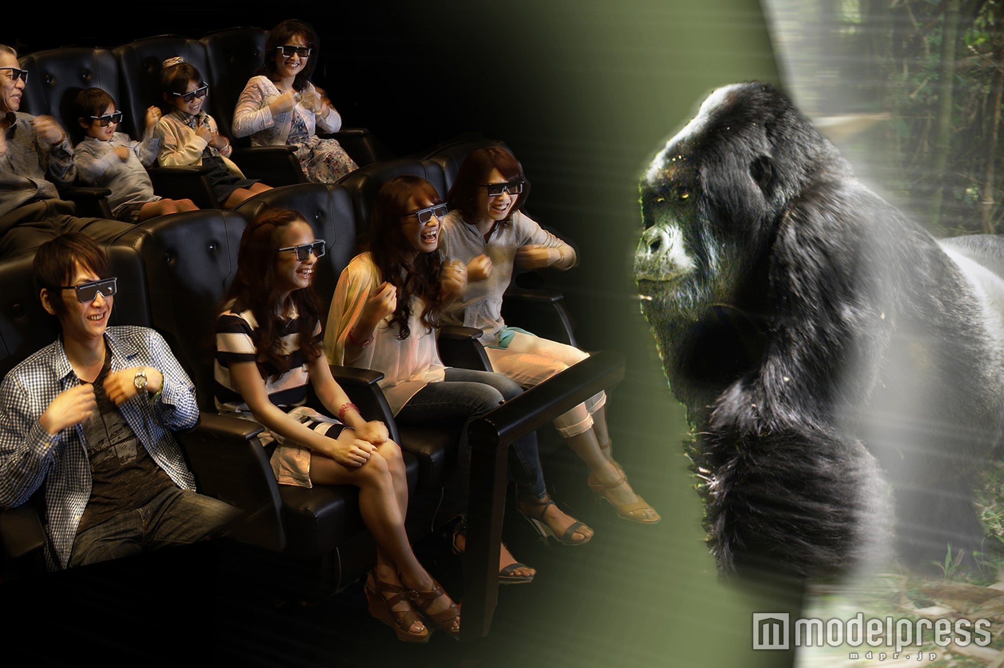 「マウンテンゴリラ」／画像提供：フェリスウィールインベストメント