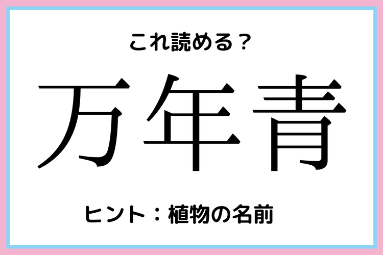 万年青 まんねんあお 読めそうで読めない 難読漢字 4選 モデルプレス 万年青 まんねんあお 読めそうで読めない 難読漢字 4選 モデルプレス