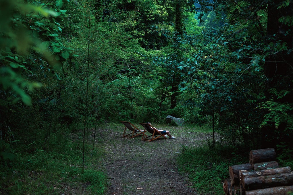 Satologue／提供画像