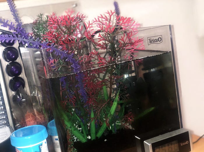 【ワタナベギャラリーVol.09】水辺に恋して