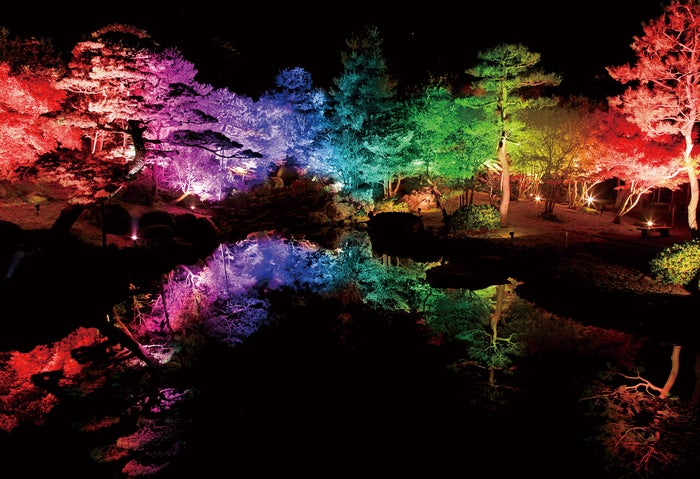 過去ライトアップ風景／画像提供：日本庭園 由志園