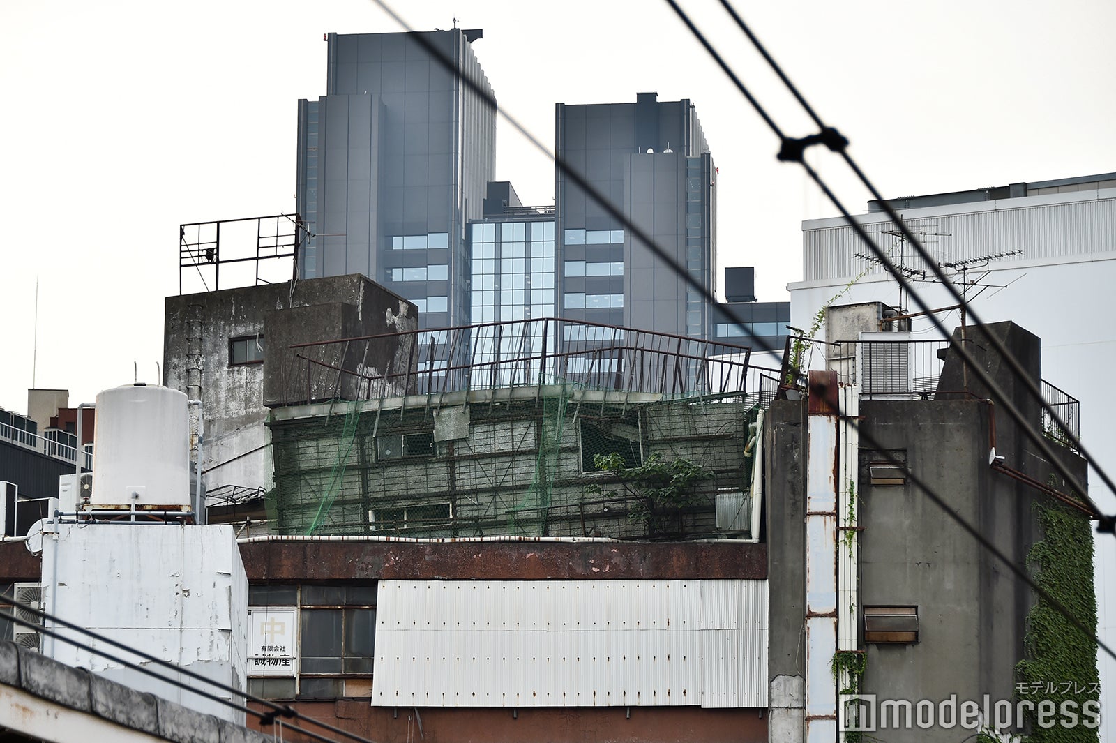 実際に屋上に鳥居はない／代々木会館（C）モデルプレス