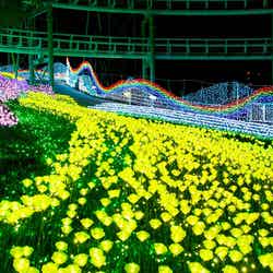 フラワーガーデン ～虹の花畑～／画像提供：京阪電気鉄道株式会社