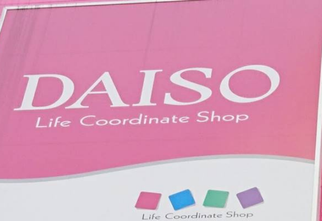 やっと出会えた ダイソーで品薄が続く 優秀お掃除アイテム モデルプレス