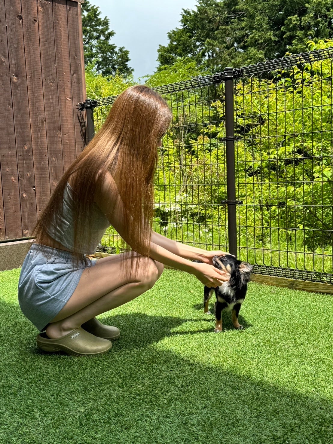 かりん（提供写真）