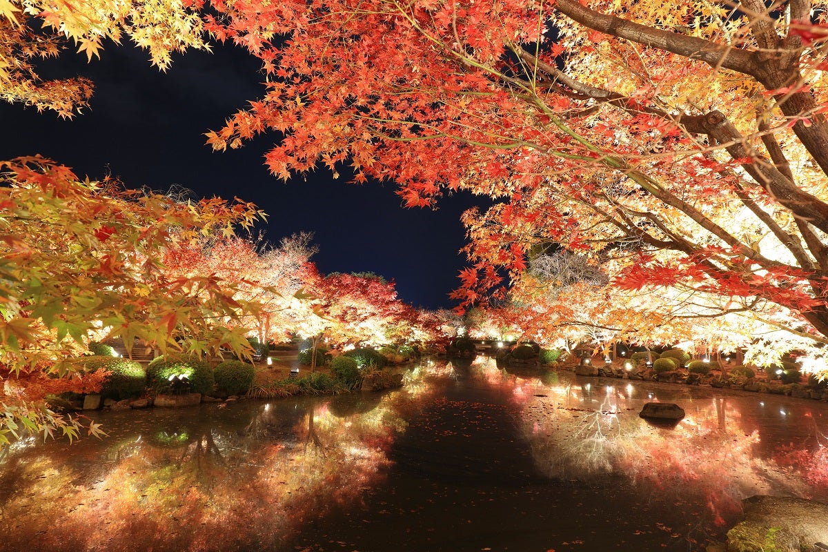 東寺（提供元：東寺）