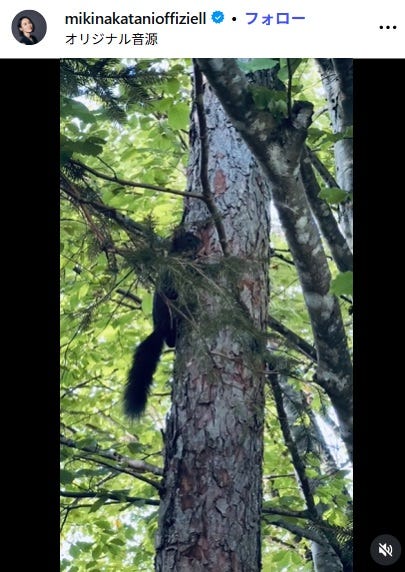 中谷美紀Instagramより