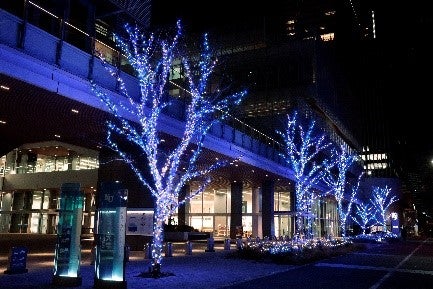 ヨコハマミライト（提供写真）