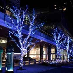 ヨコハマミライト(提供写真)