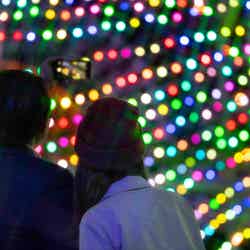 イルミネーション/画像提供:みろくの里