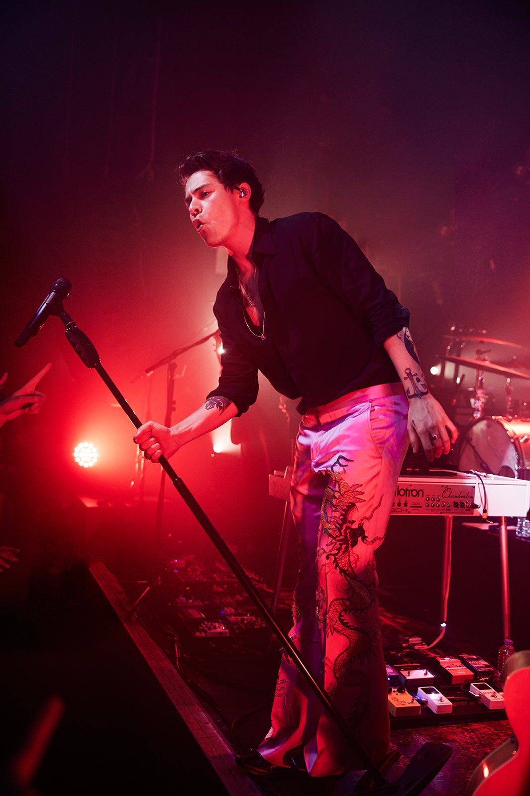 ハリー・スタイルズ（提供画像）