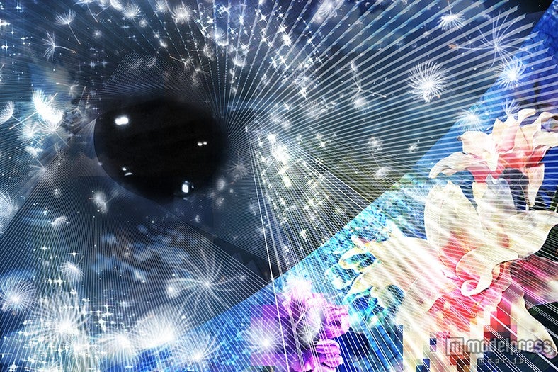 幻想的な花々が五感を刺激　新たなアート空間が誕生