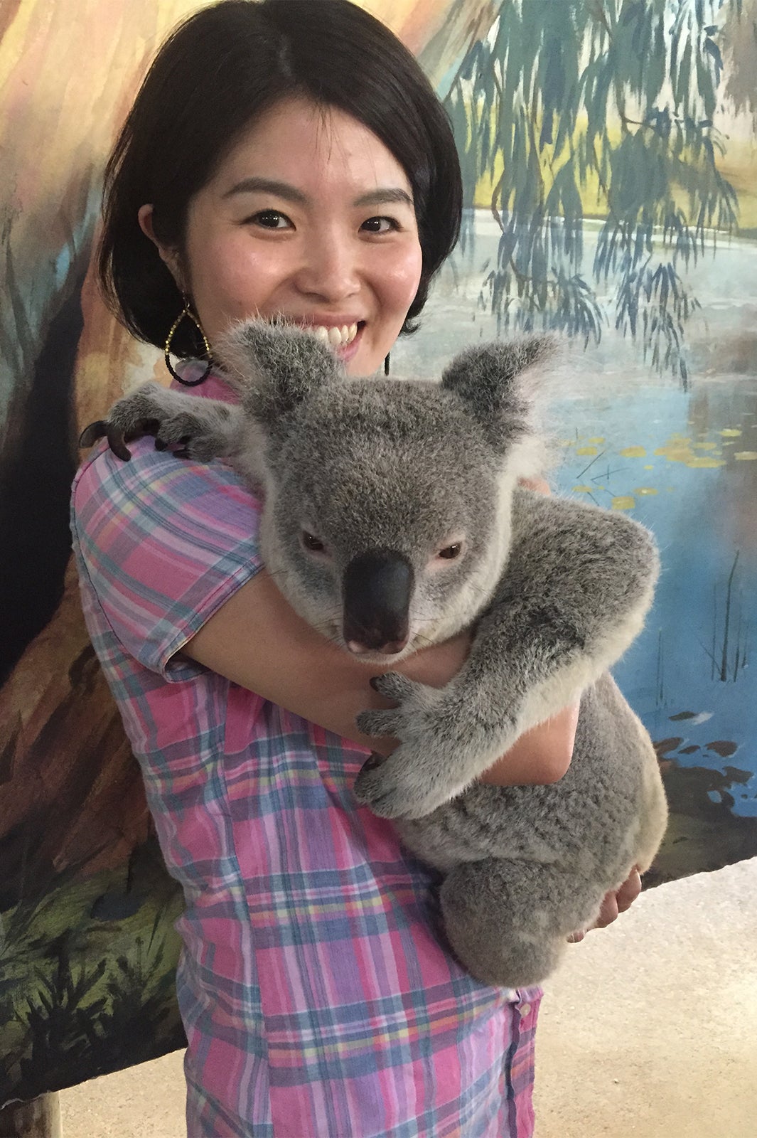 コアラの抱っこ体験／画像提供：JTBワールドバケーションズ