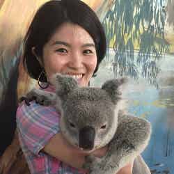 コアラの抱っこ体験/画像提供:JTBワールドバケーションズ