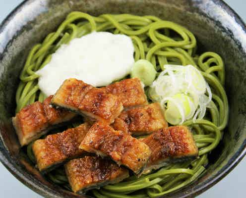「乾麺グランプリ 2018」日比谷公園で開催、日本一美味しい乾麺料理を決定