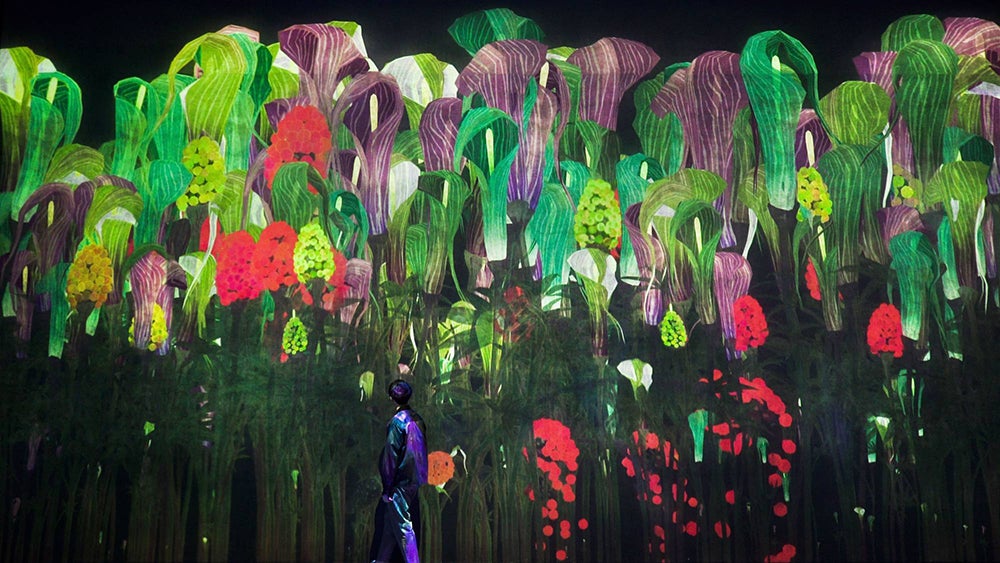 増殖する無量の生命／画像提供：チームラボ