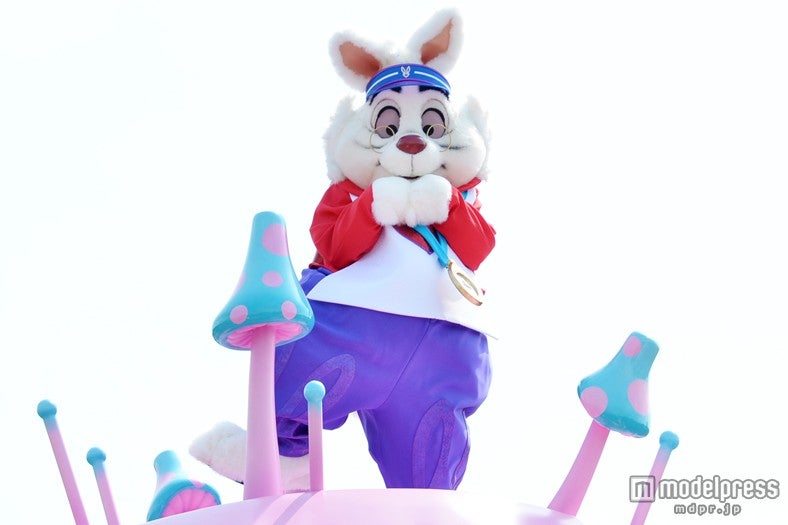 ホワイトラビット