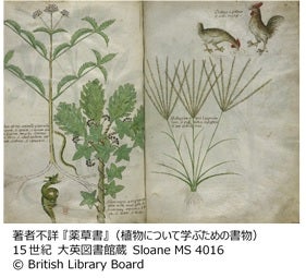 薬草書 （提供画像）