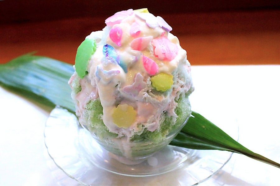 いちょうの木プリン