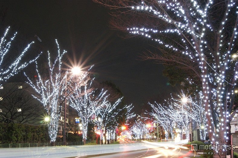 「光の祭典2015」／画像提供：足立区観光交流協会