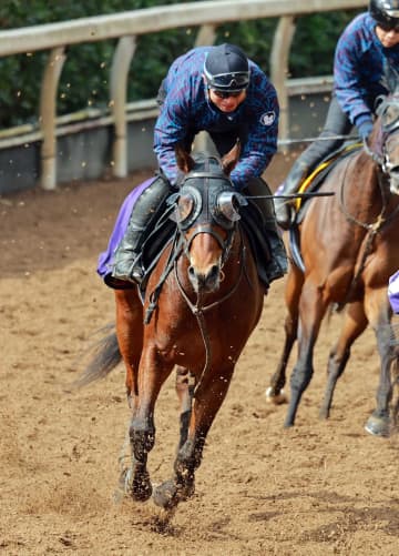 【スプリングS】サウンドムーブ 斉藤崇厩舎3週連続クラッシック切符へ 重賞2着に師「自信になった」