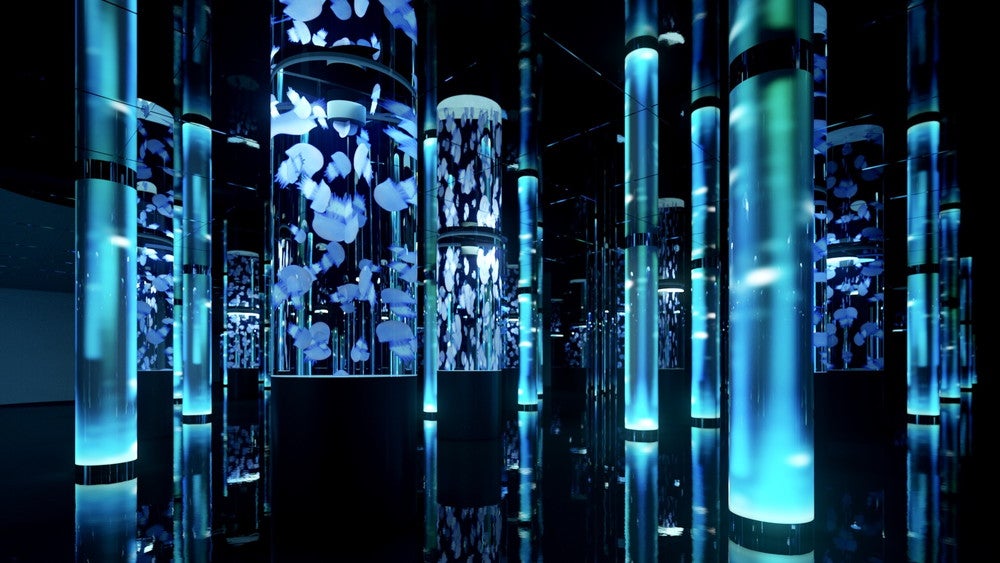 DMMかりゆし水族館／画像提供：DMM.com