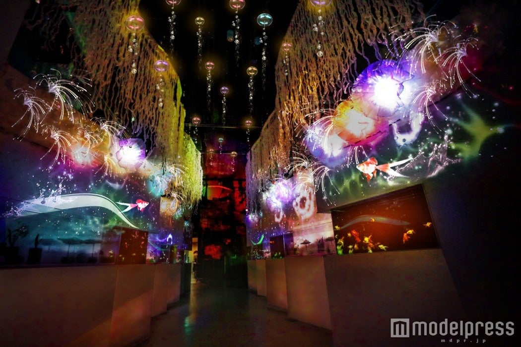 「風花火」※イメージ／画像提供：横浜・八景島シーパラダイス