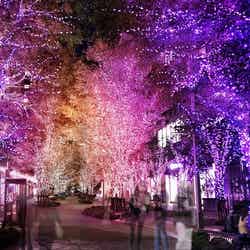 日比谷仲通りの様子 イメージ/画像提供:東京ミッドタウンマネジメント