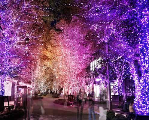 東京・日比谷の2021年イルミネーション、“魔法のような”グラデーションカラーの彩り