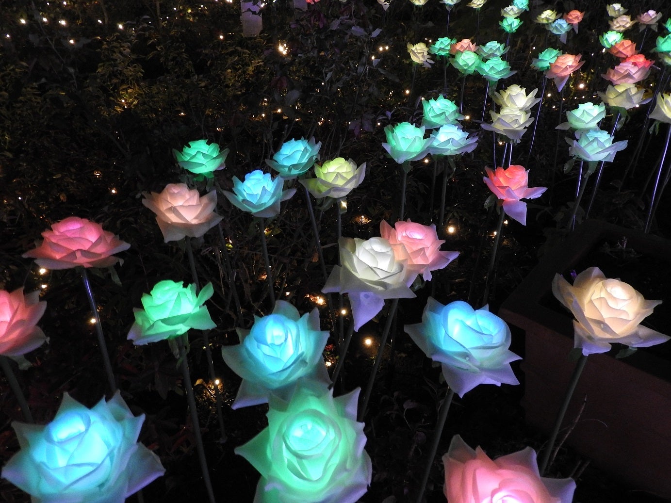 バライルミ／画像提供：東武動物公園