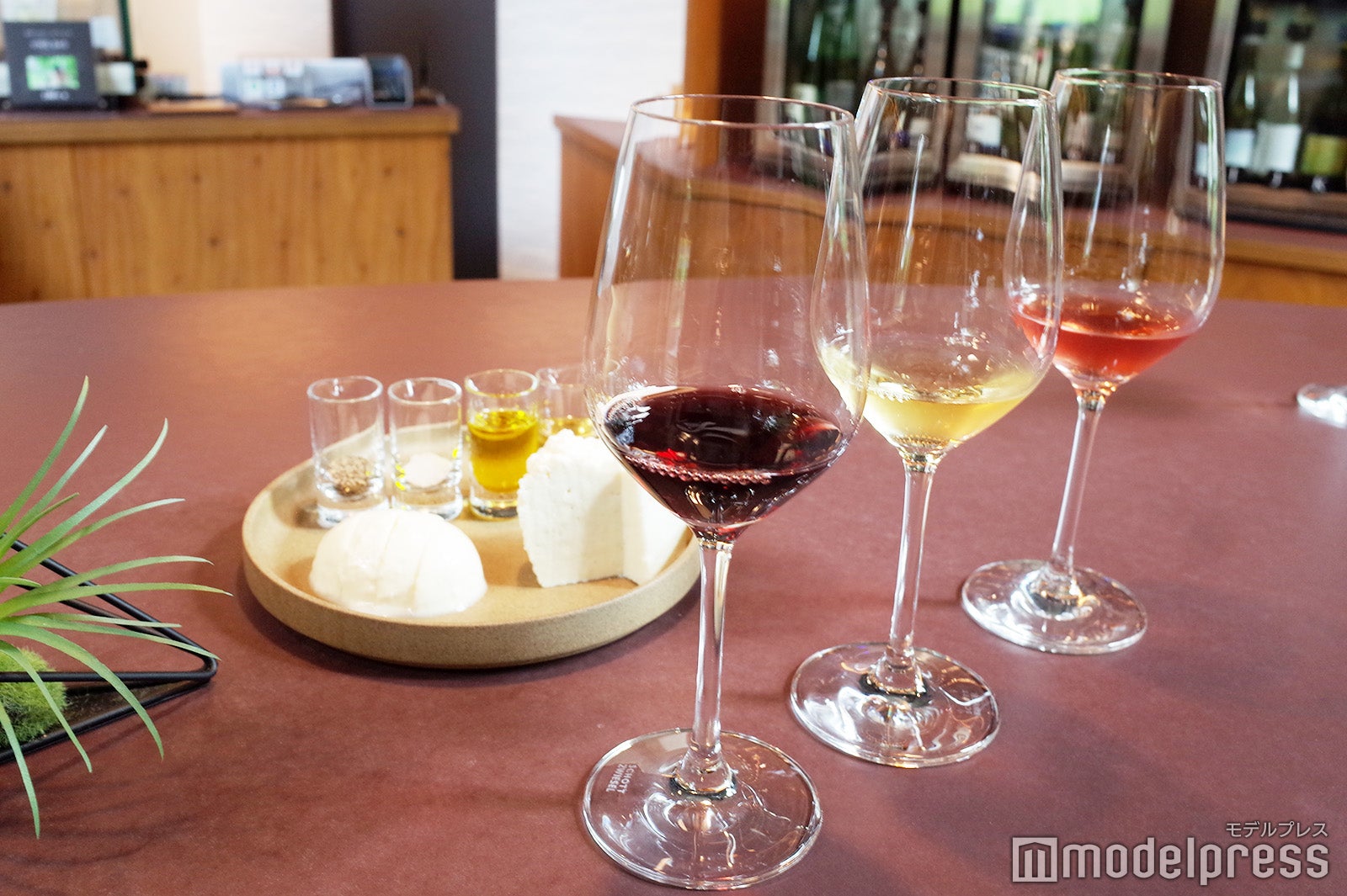 星野リゾート　トマム（C）モデルプレス