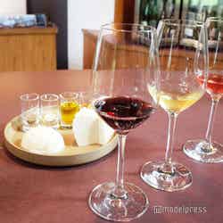 星野リゾート トマム(C)モデルプレス