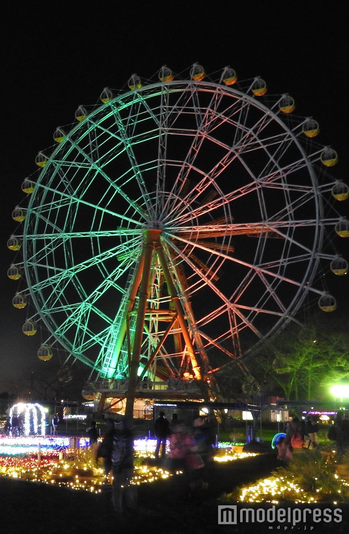 トレジャーSTAGE／画像提供：東武動物公園