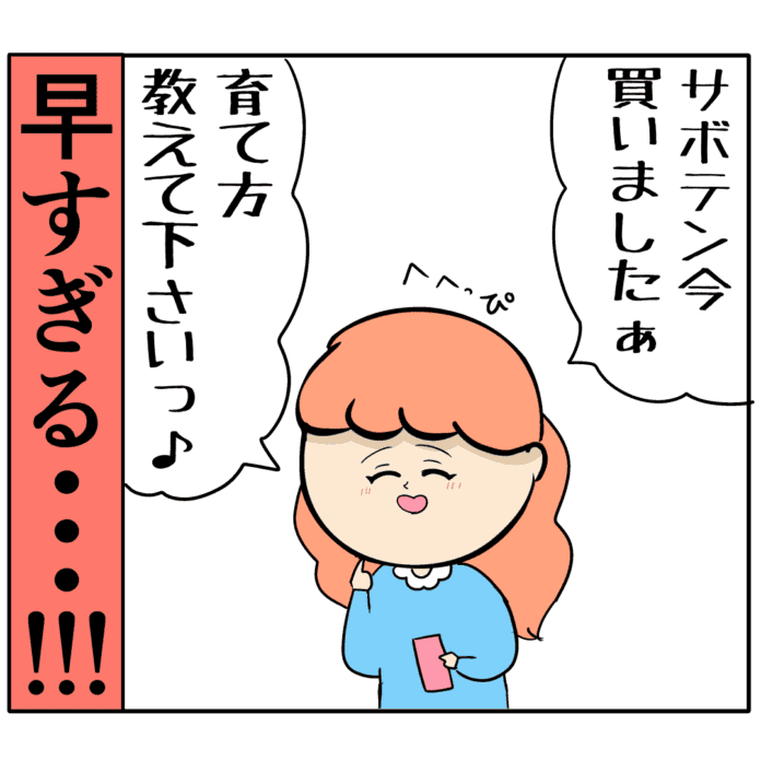 こんなチャンス見逃すはずがありません！