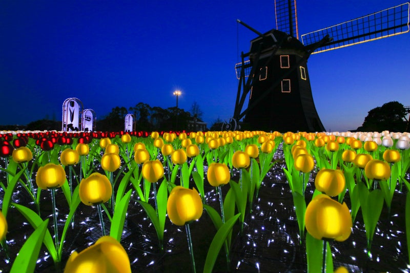 フラワーロード（夜）／画像提供：ハウステンボス